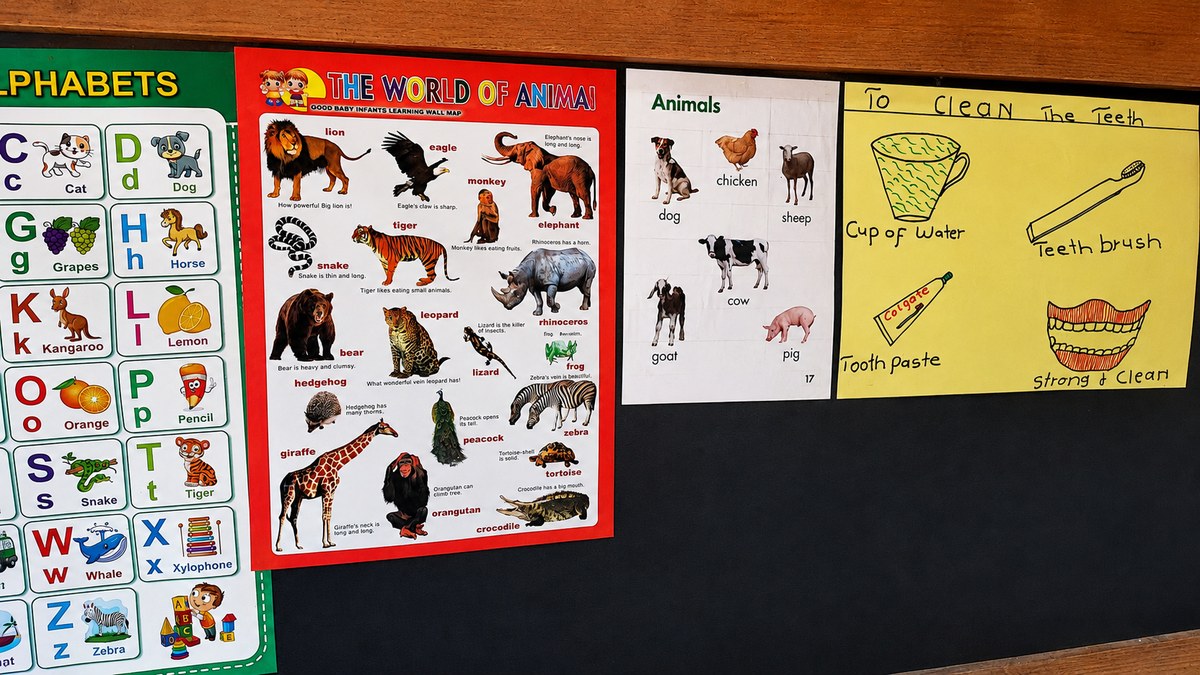 Learning wall posters at Sunrise Early Learning Centre
